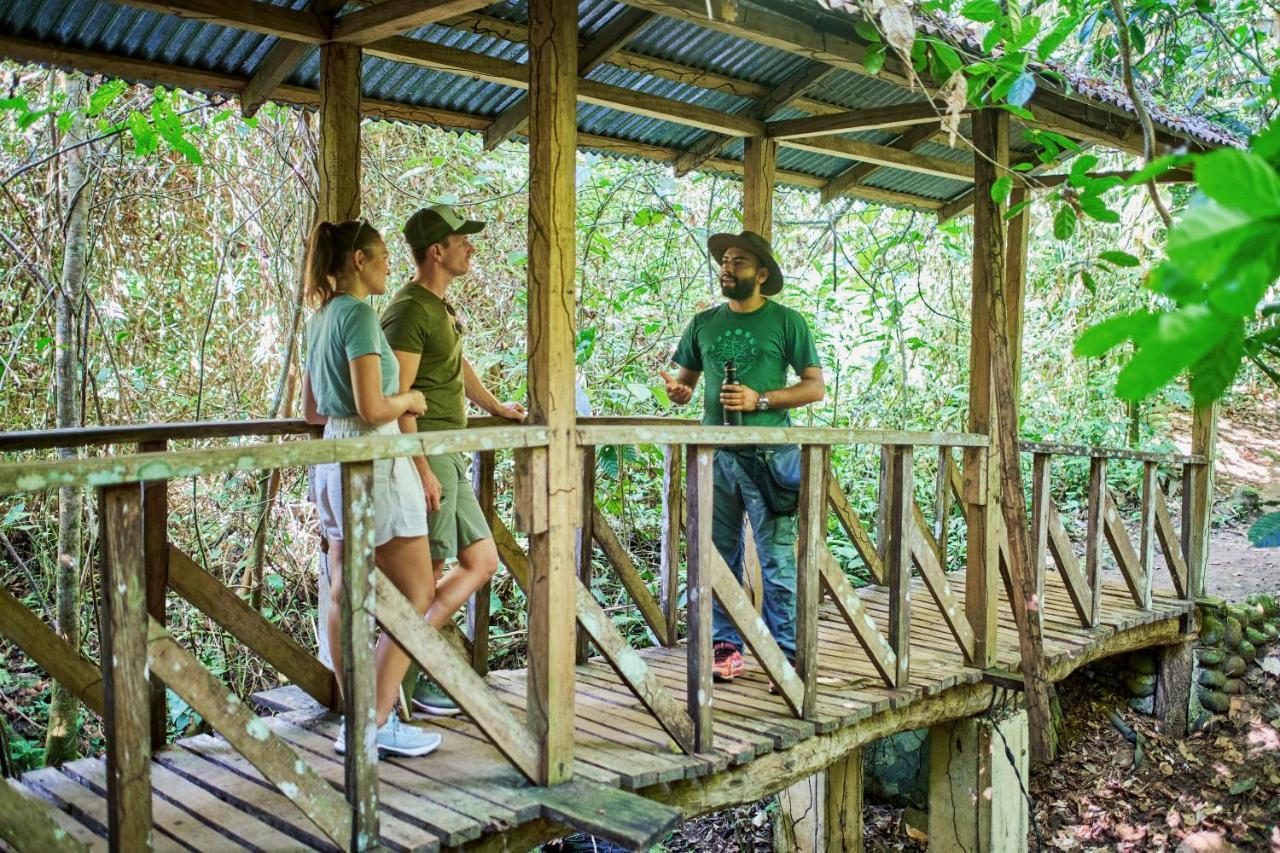 Finca Luna Nueva Lodge La Fortuna Ngoại thất bức ảnh